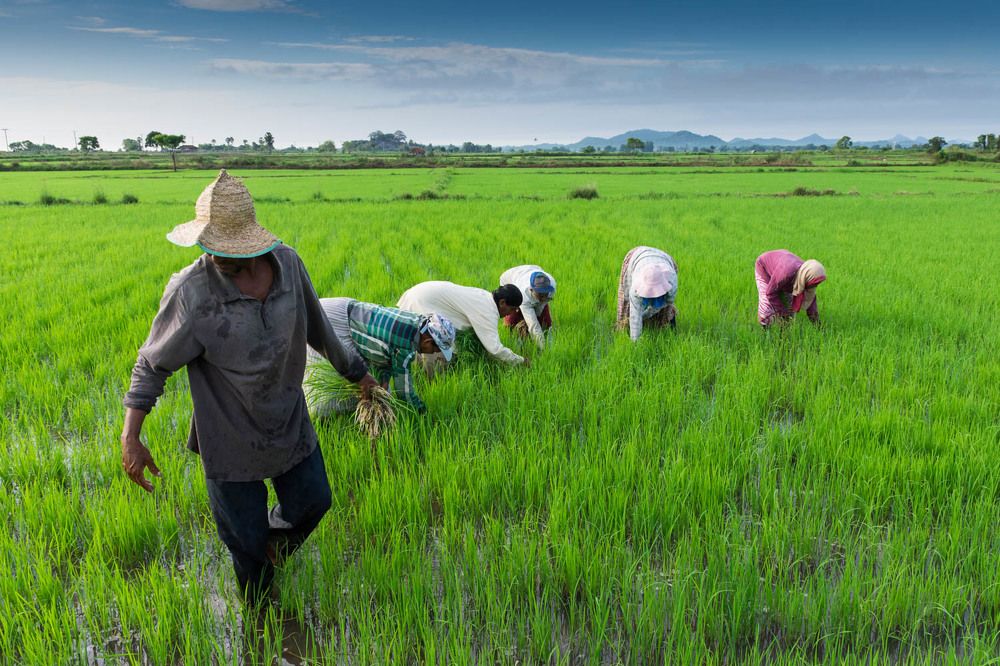 Photograph by Sajeeth Ahamed