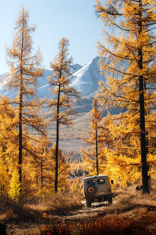 Photograph by Raspopov Andrey