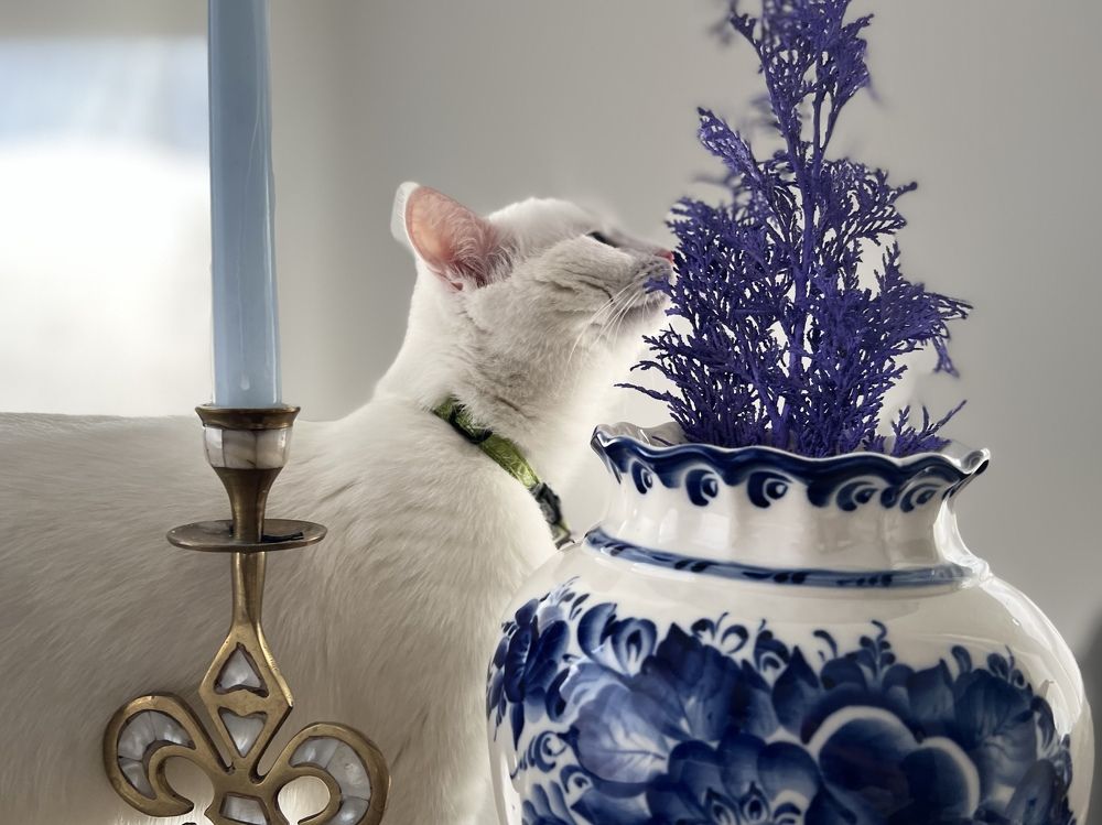 Photograph by Ксения Рош