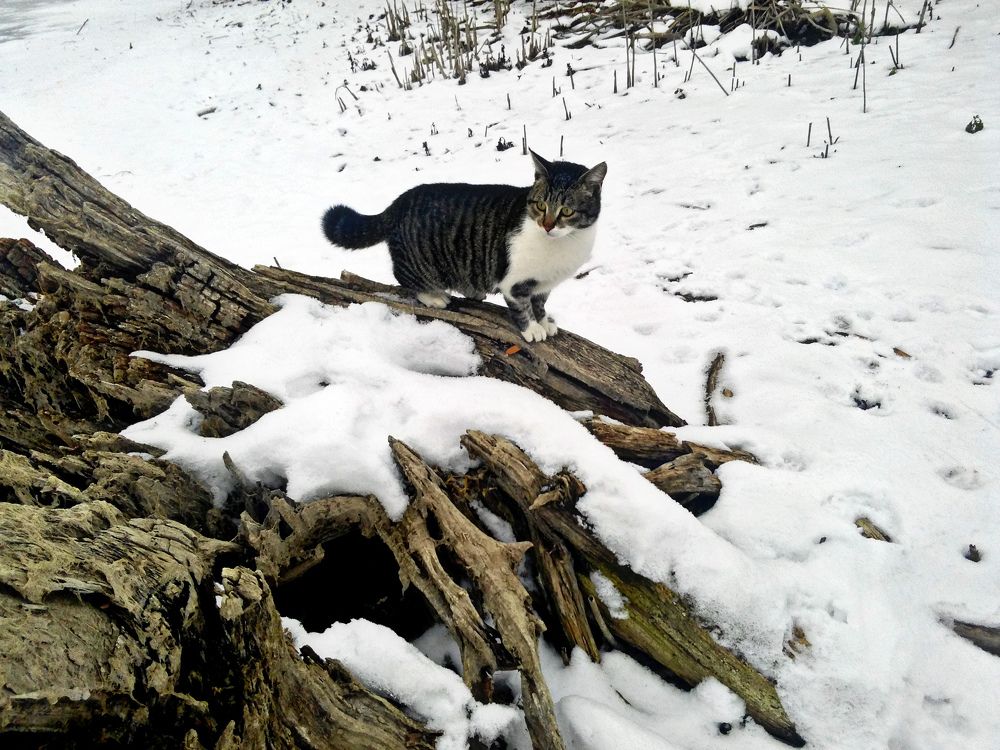 Photograph by Татьяна Королёва