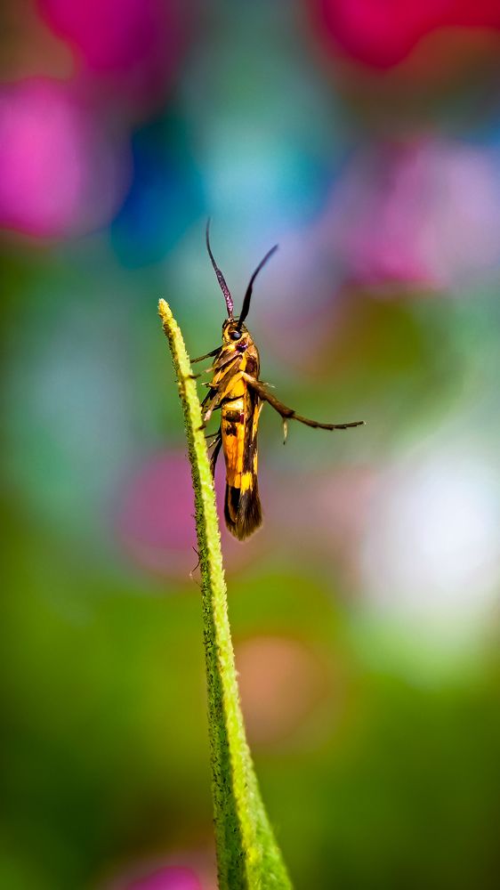 Photograph by Soaham Sur