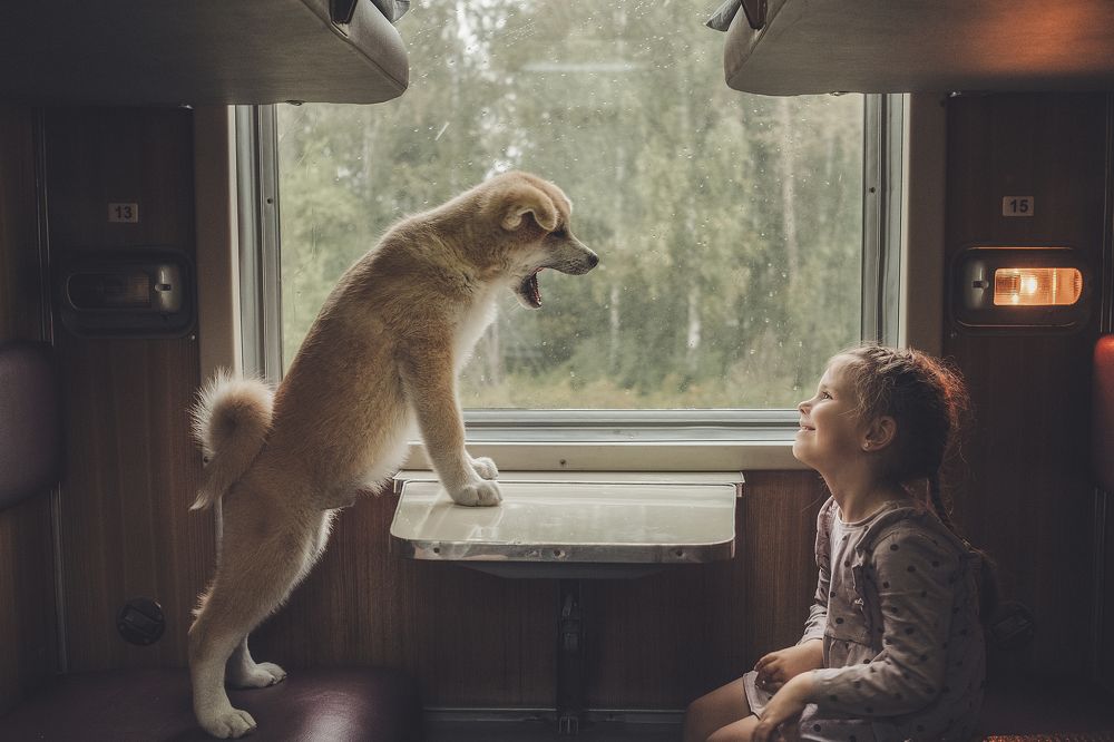 Двое в купе