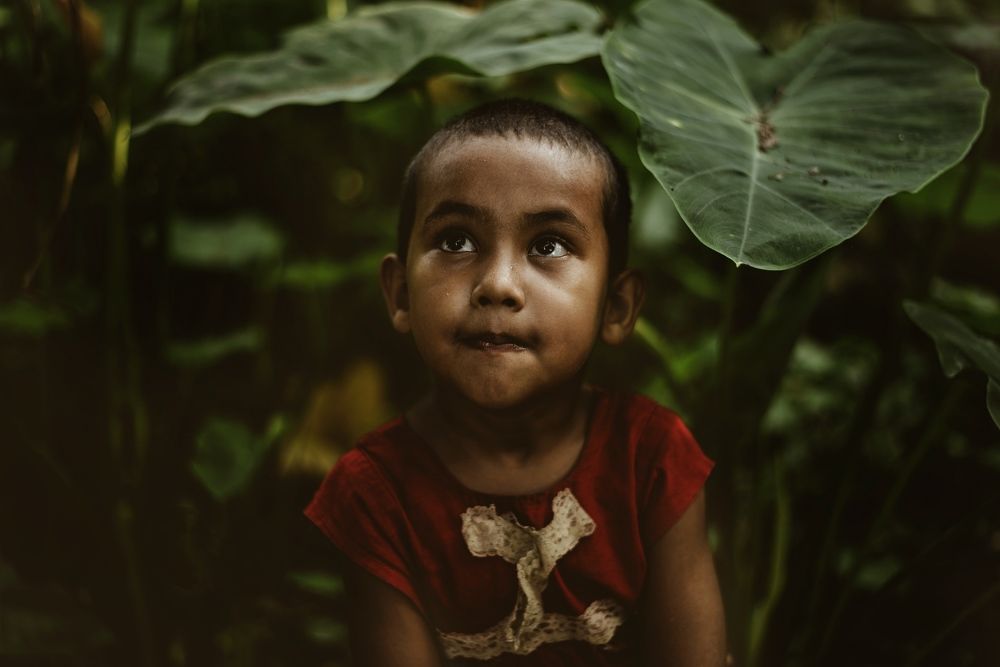 Photograph by Md Sohanur alom Sohan