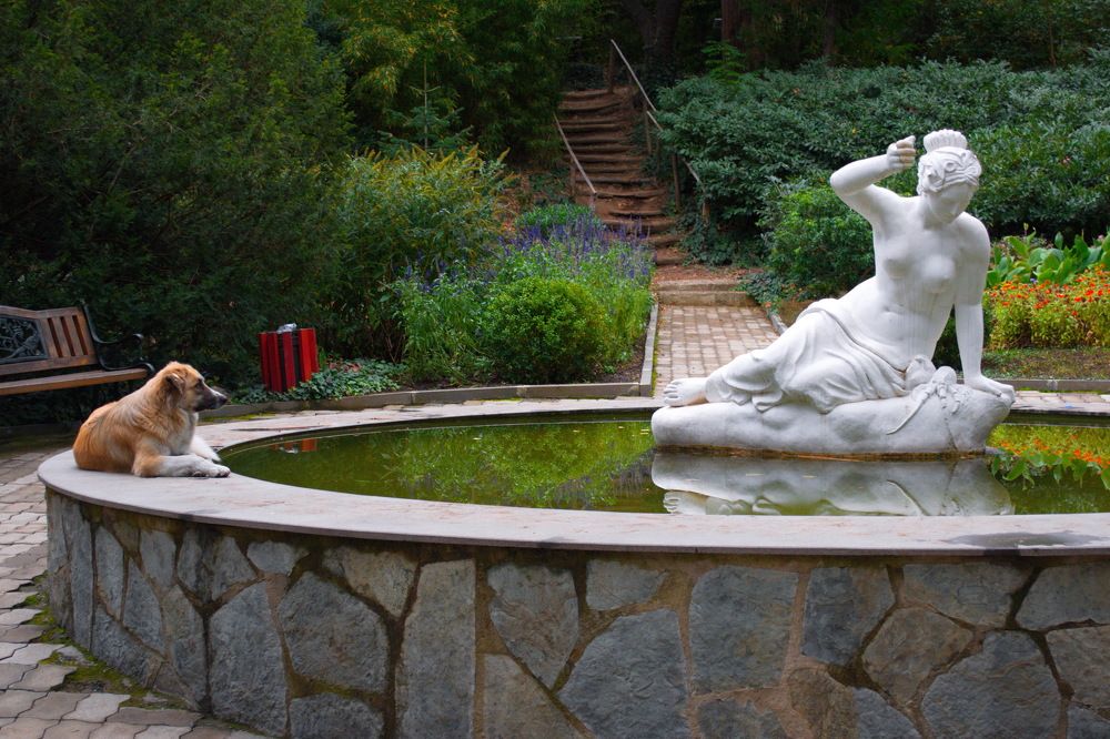 Фотография автора Маис Киракозов