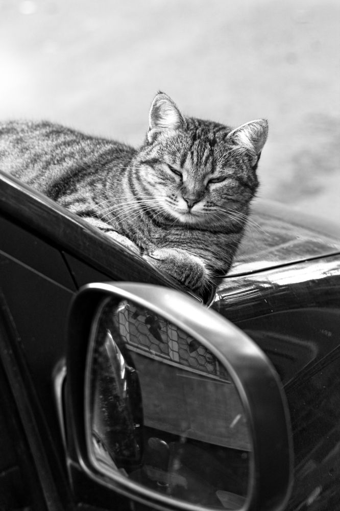 Photograph by Татьяна Алексеева