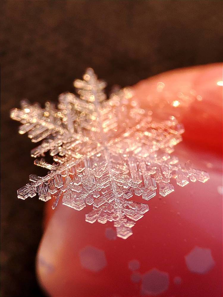 Таяние снежинки