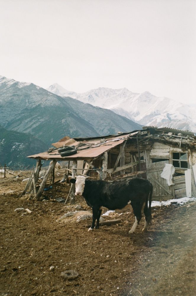 Photograph by Иван Чекашкин