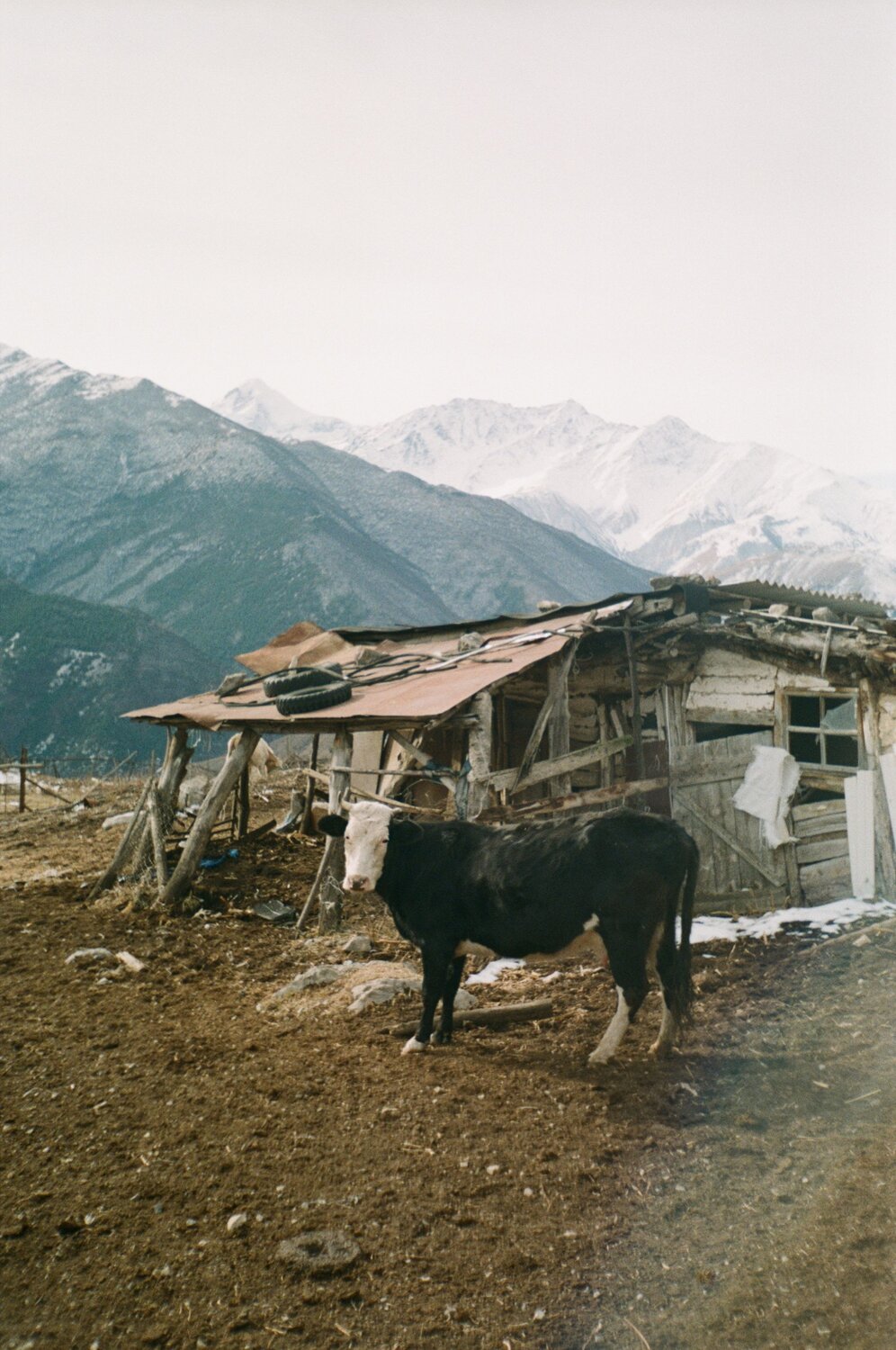 Photo #8869300