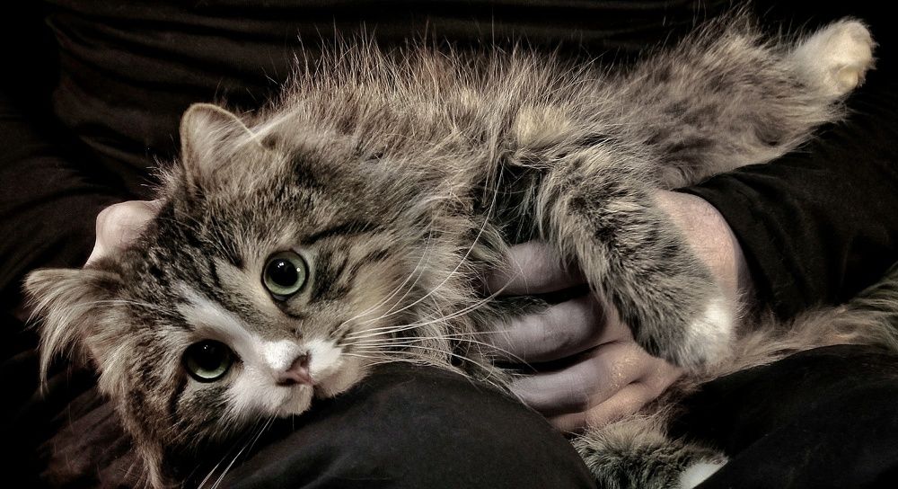 Photograph by Sergey Velichko