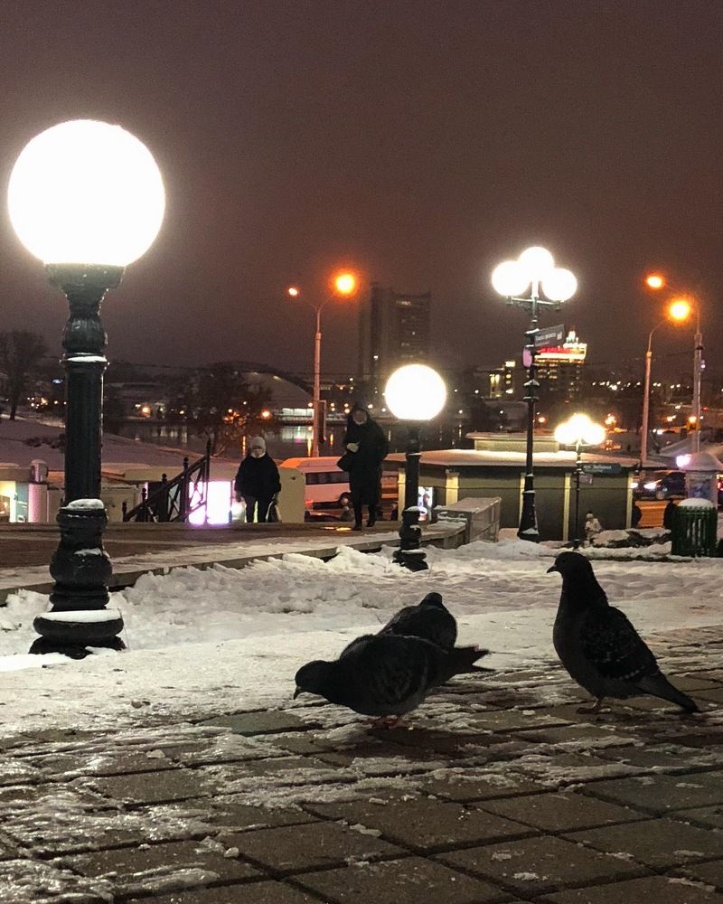 Вечерний Минск