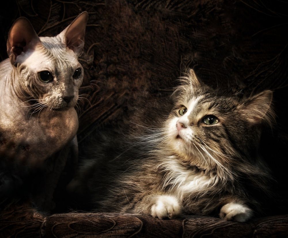 Photograph by Sergey Velichko