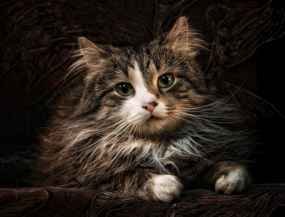 Photograph by Sergey Velichko