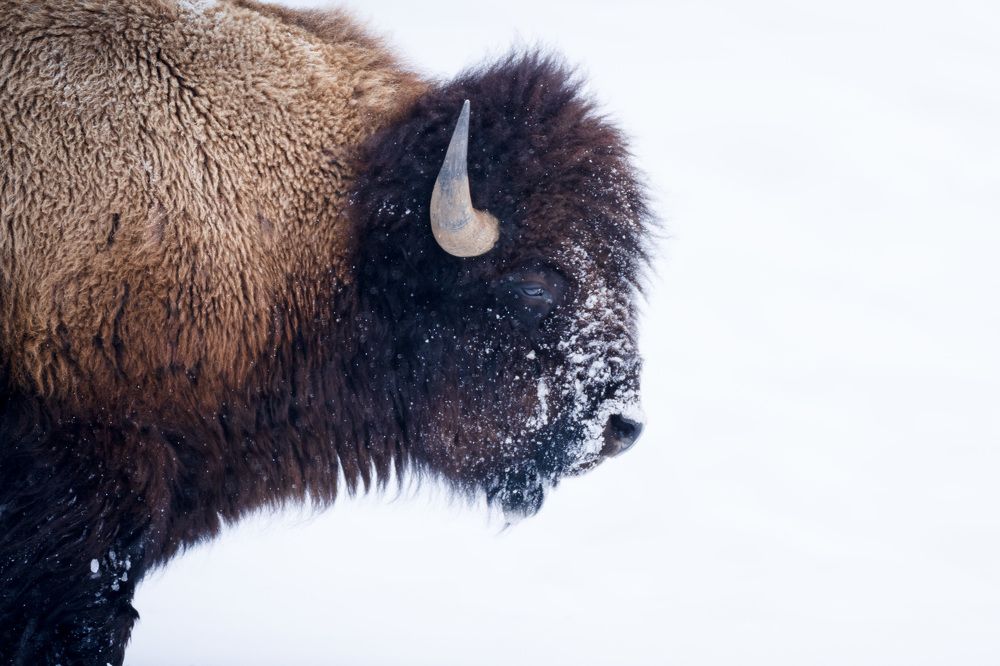 Фотография автора Karthik Subramaniam