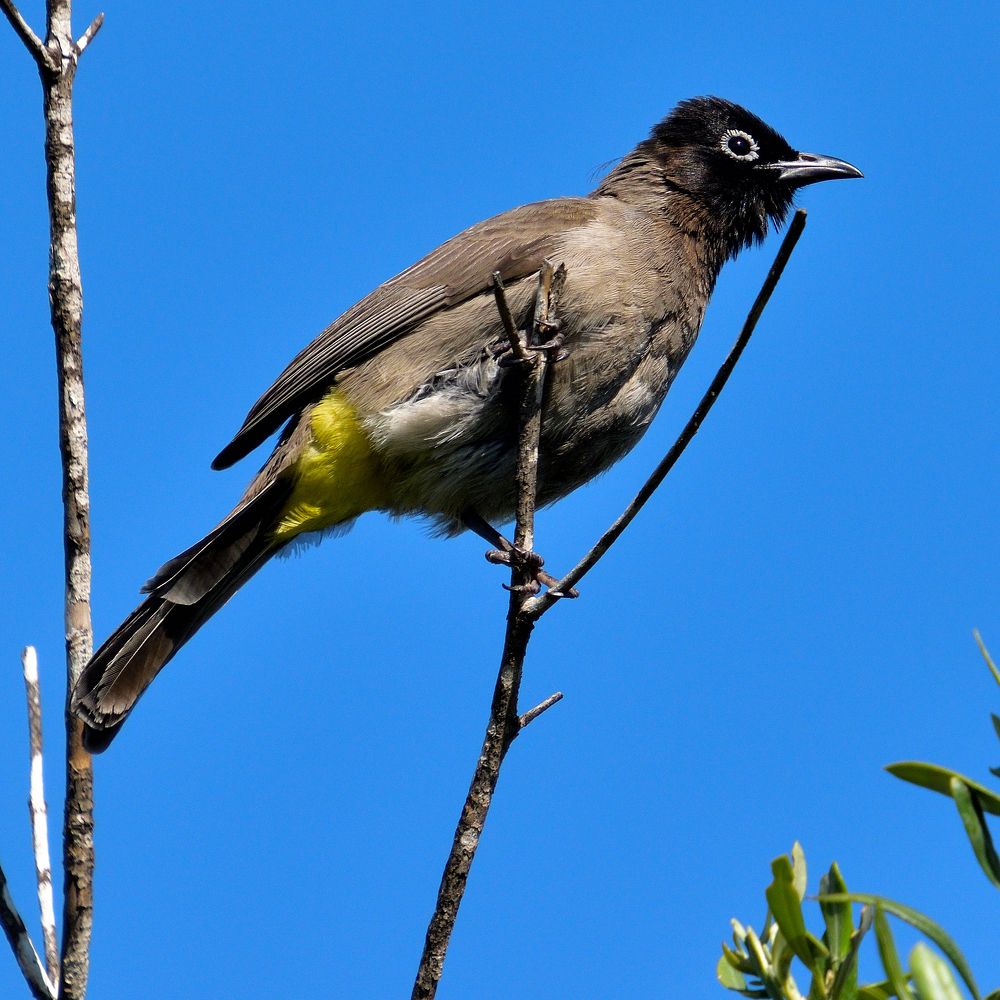 Photograph by Анатолий Хальман