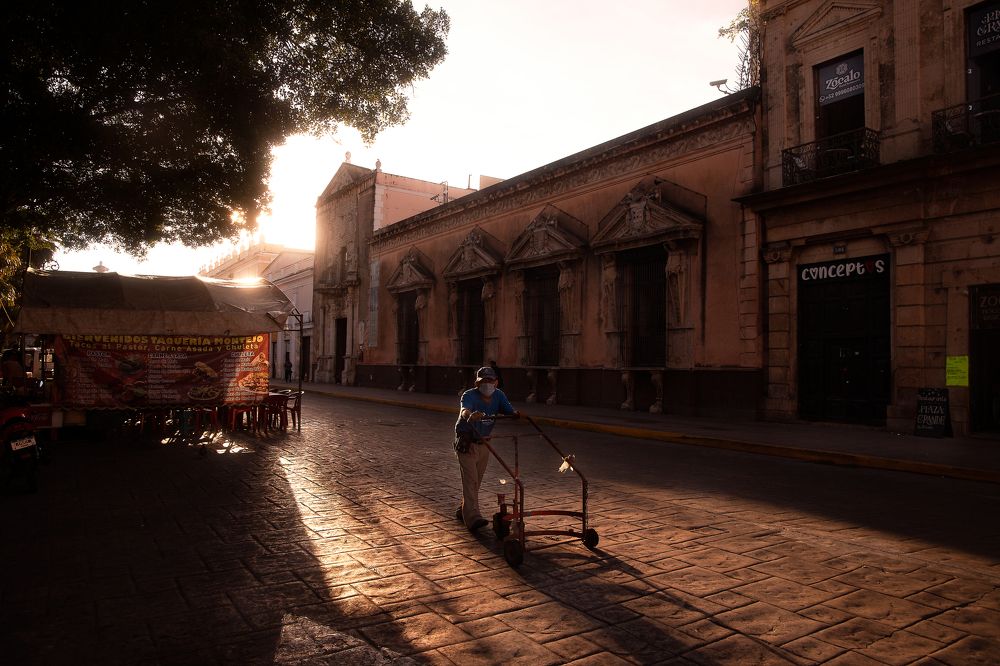 Фотография автора Ольга Дробышева