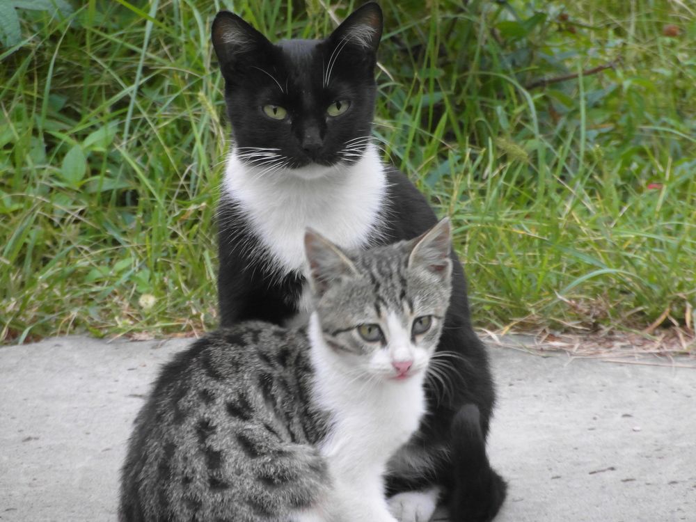 Photograph by Абакар Мирзоев