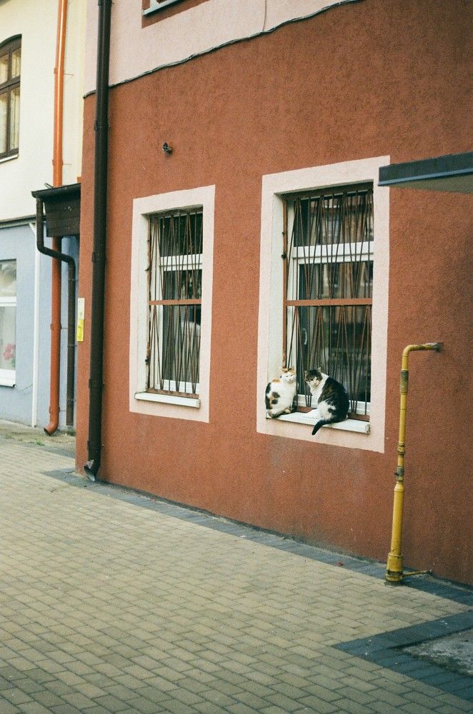 Photograph by Василий Селиванов