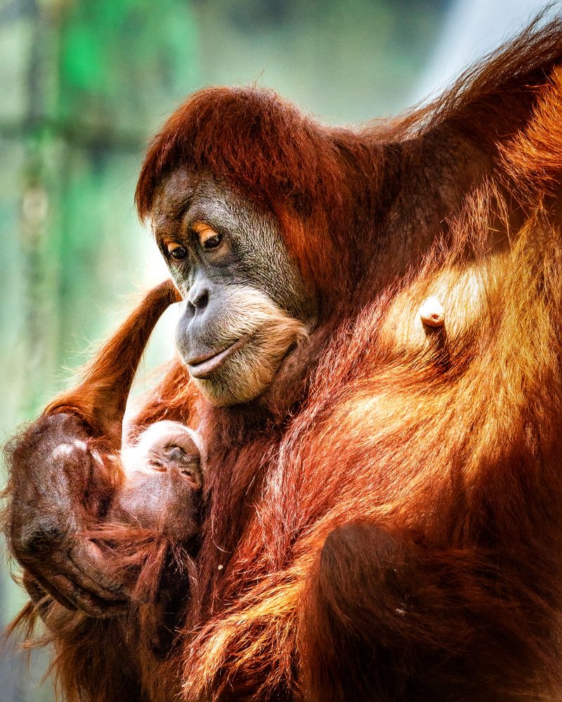 Photograph by David Lerer