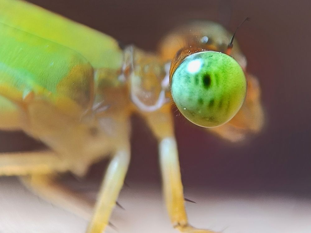 Photograph by Susmita Ghosh