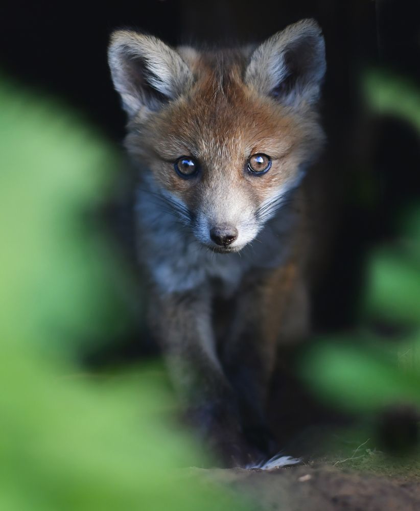 Photograph by Елена