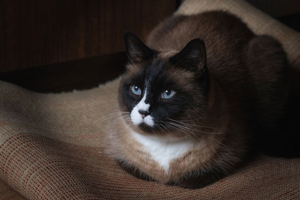 Фотография автора ЯR Ольга