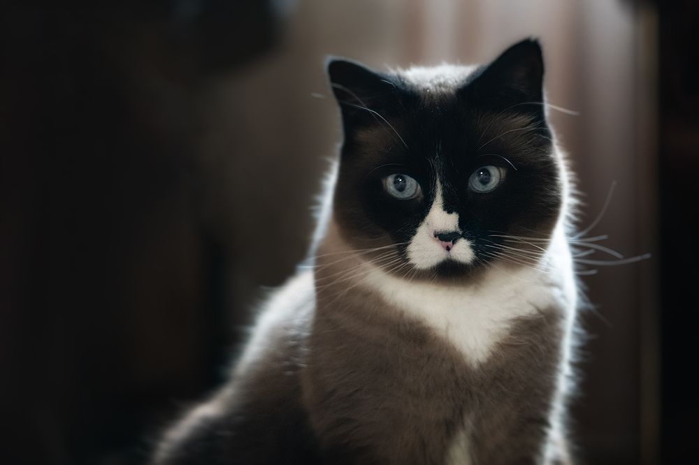 Фотография автора ЯR Ольга