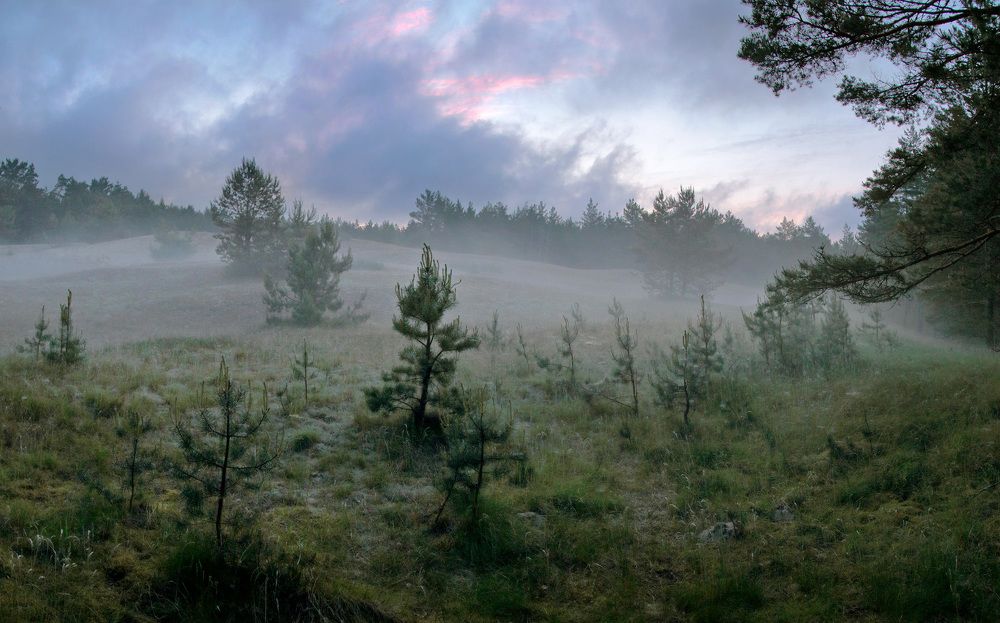 Photograph by Владимир Петрукович