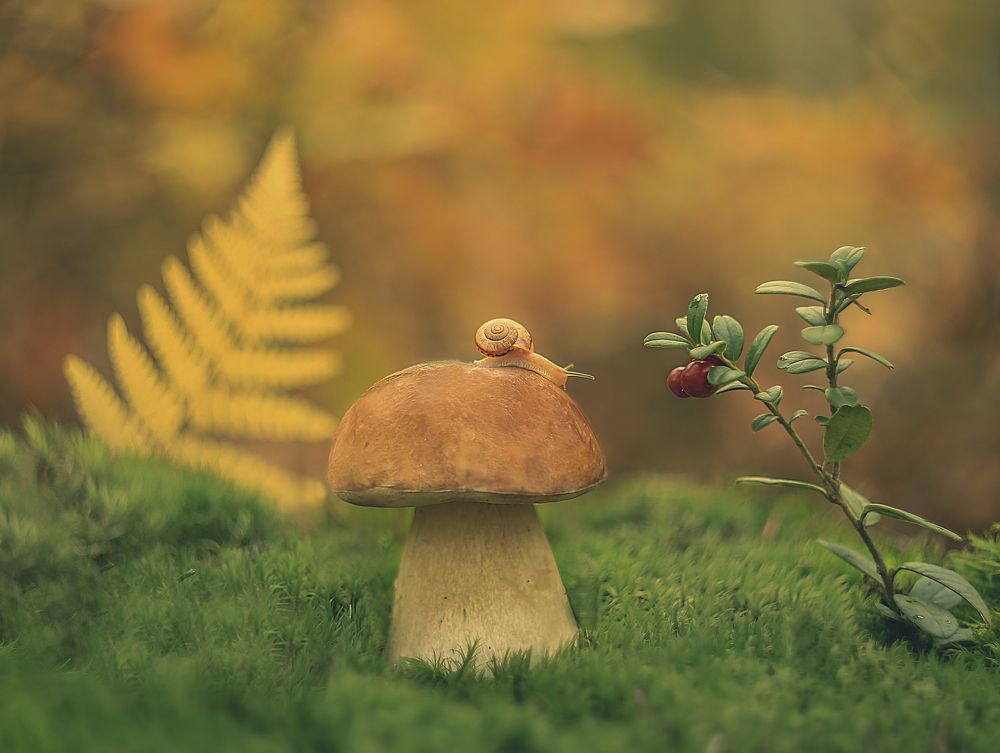 Photograph by Алена Полетаева