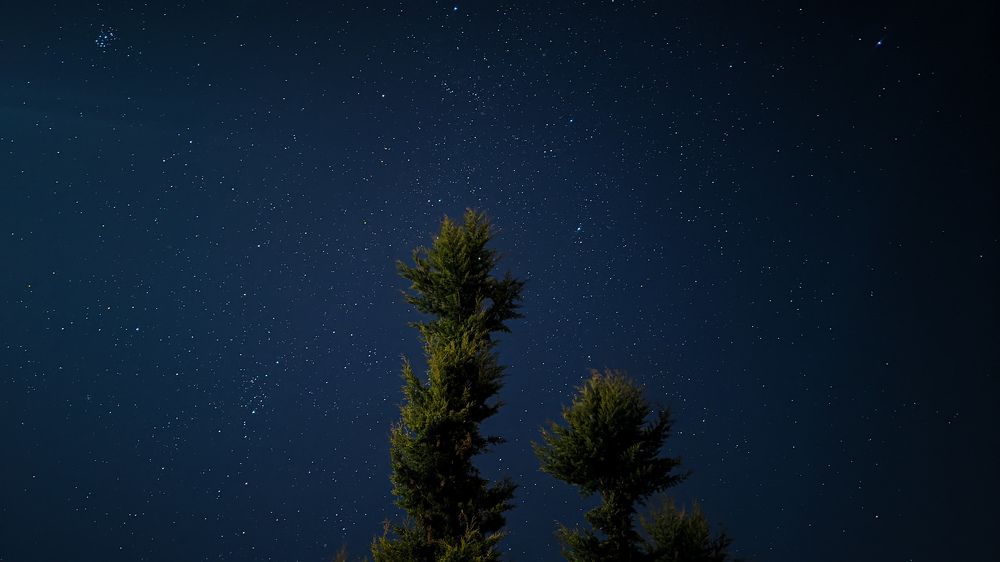 Photograph by Faiyal Ahmed