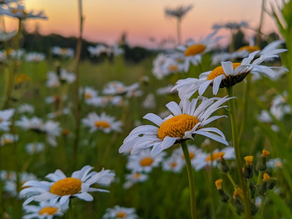 Photograph by Светлана Кондрашова