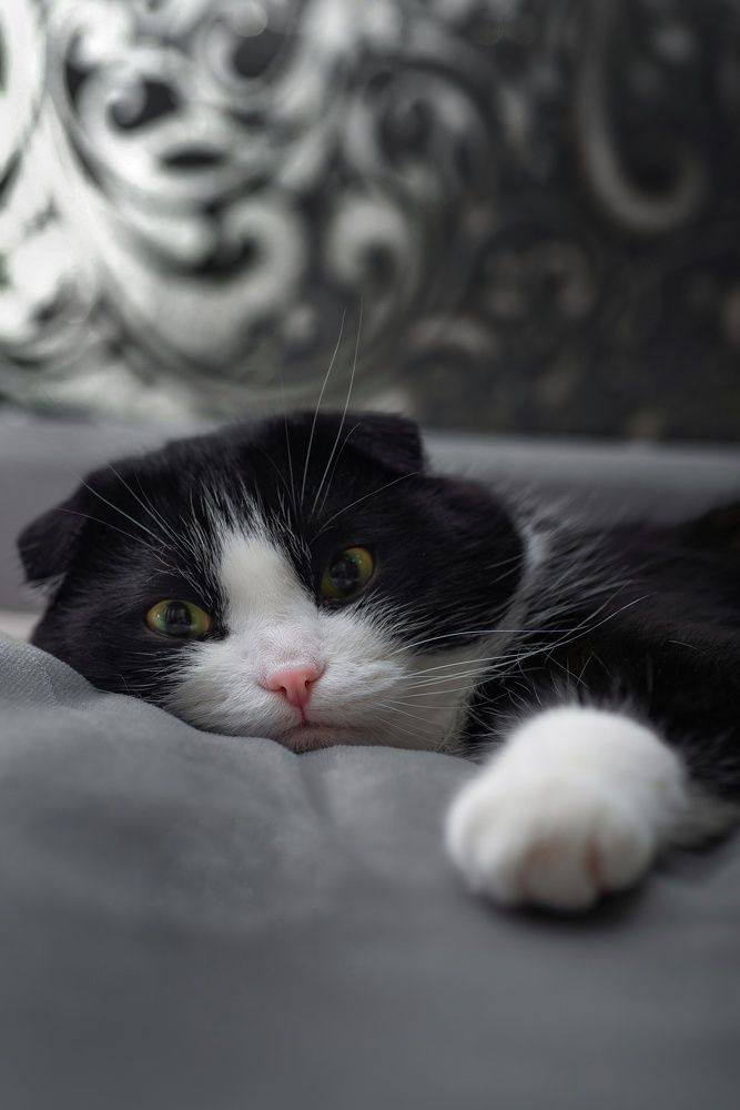 Photograph by Aleksandra Chu