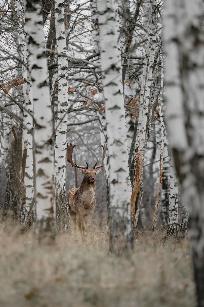Photograph by Илья Марченко