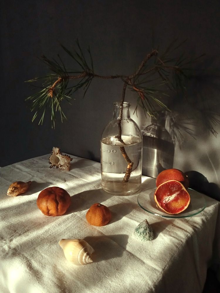 Photograph by Евсеева Валентина