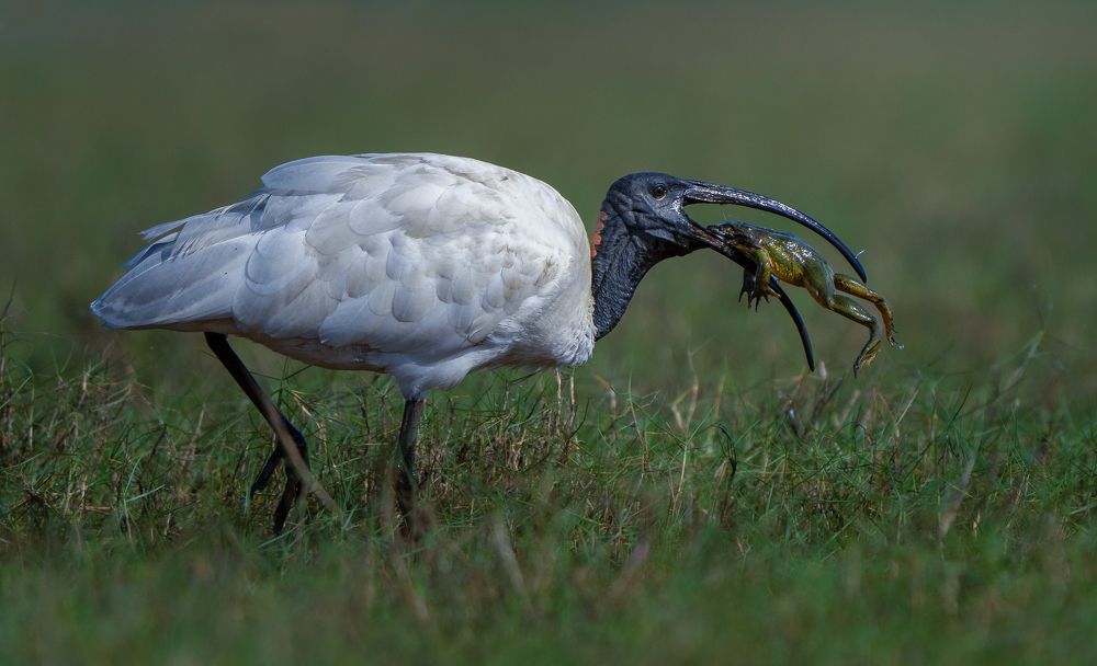 Фотография автора Nived yadav