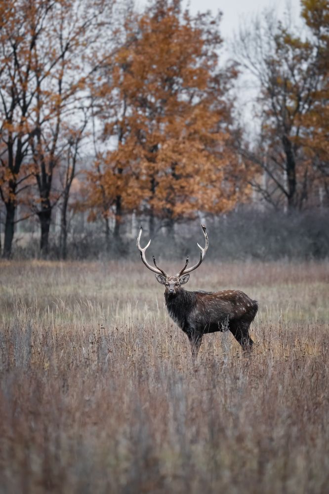 Photograph by Илья Марченко