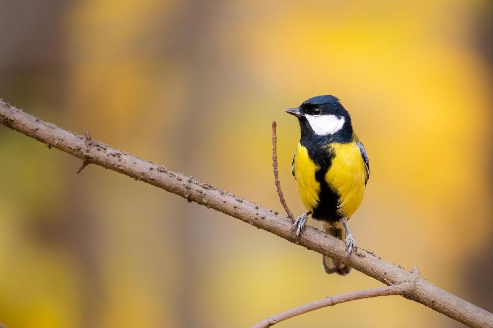 Photograph by Илья Марченко