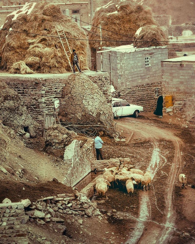 A Day In The Village