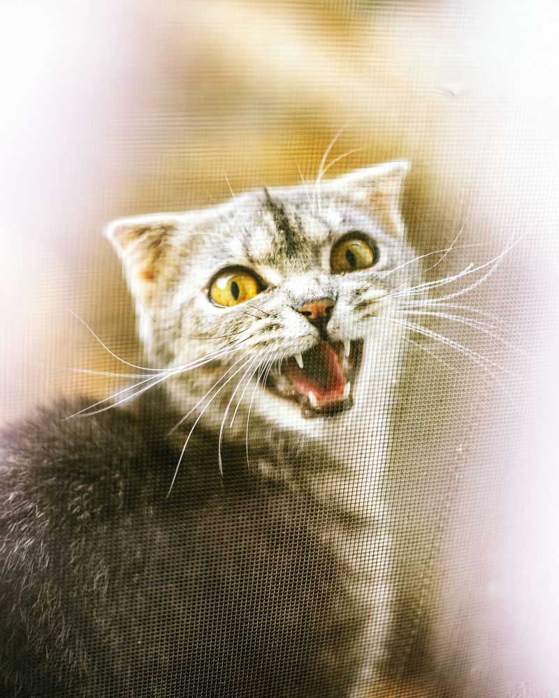 Photograph by Maria Morgunova