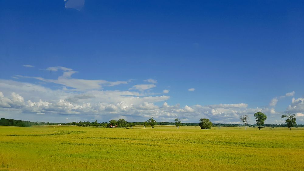Тридевятое царство