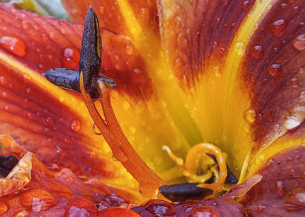 Photograph by Ирина Архипова