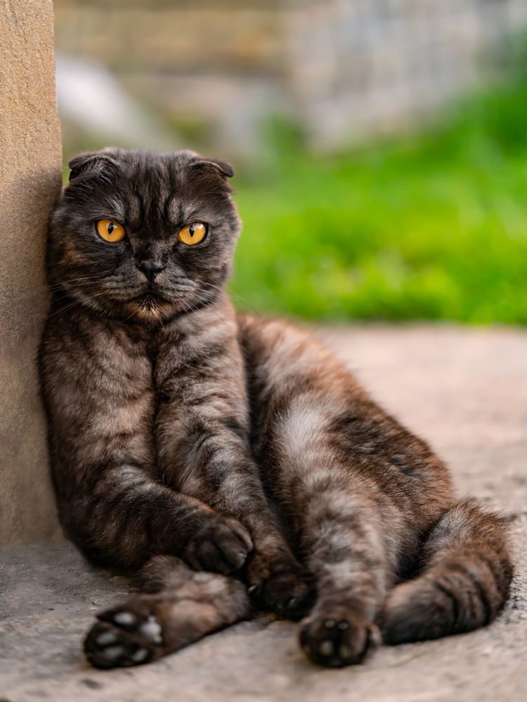 Photograph by Денис Дроздов