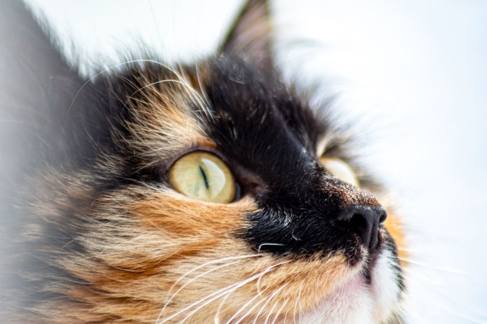 Photograph by Артем Штылев