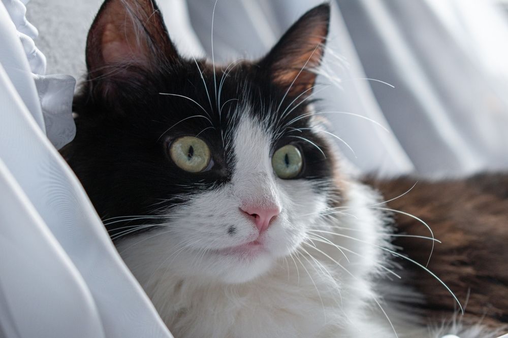 Photograph by Артем Штылев