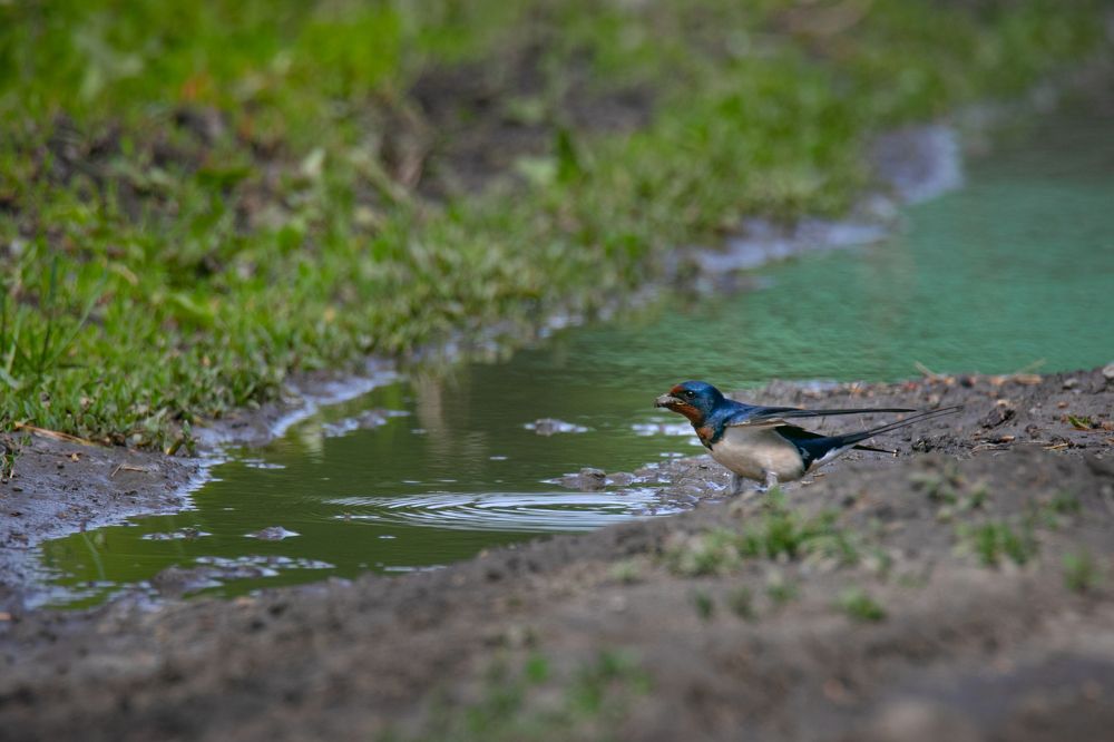 Photograph by Denis Schetinin