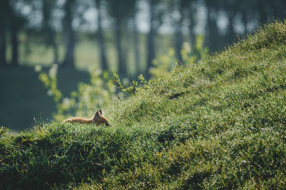 Photograph by Илья Марченко