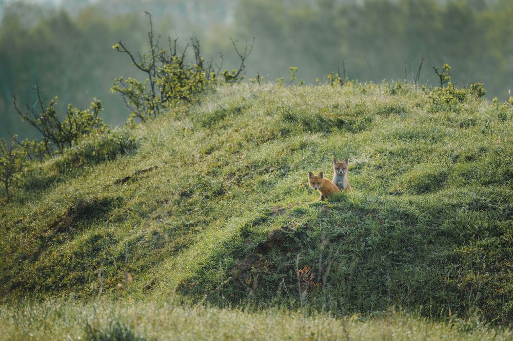 Photograph by Илья Марченко
