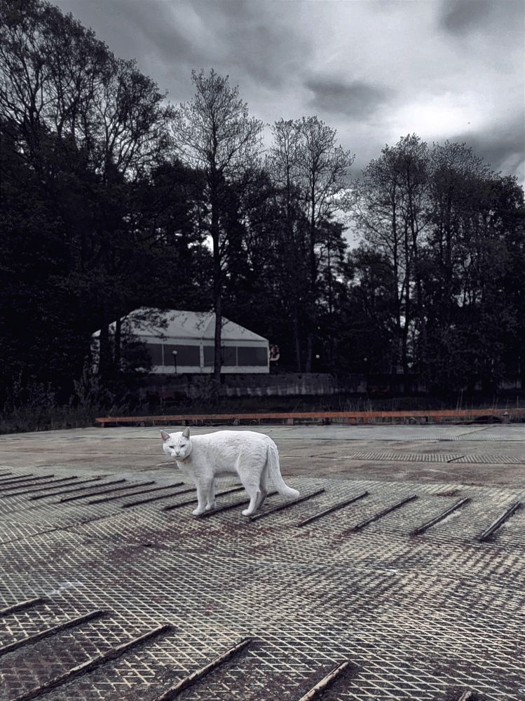 Photograph by Юлия Седельникова