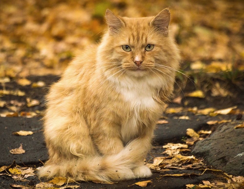 Photograph by Андрей Андрианов