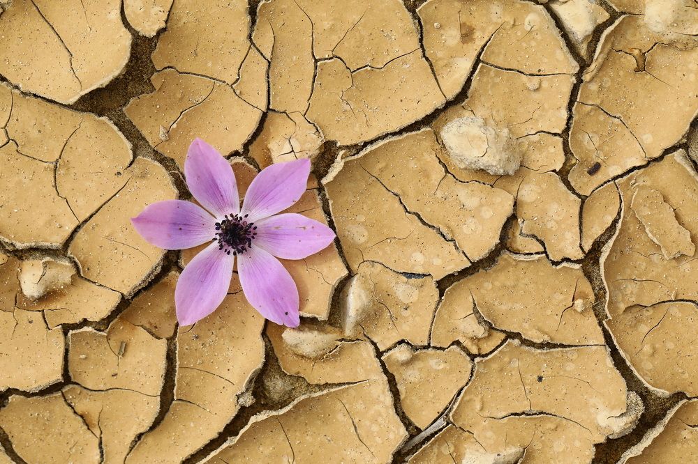 Photograph by Baglar Hasan