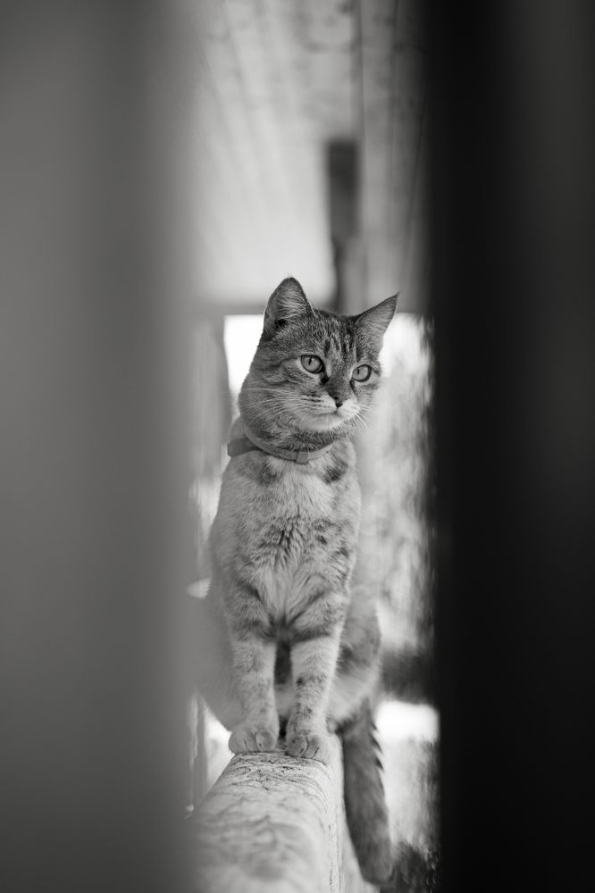 Photograph by Герман Корнеев